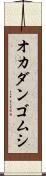 オカダンゴムシ Scroll