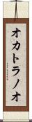 オカトラノオ Scroll