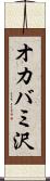 オカバミ沢 Scroll