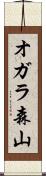 オガラ森山 Scroll
