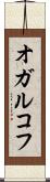 オガルコフ Scroll