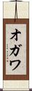 オガワ Scroll