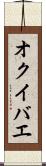 オクイバエ Scroll