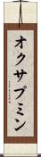 オクサプミン Scroll