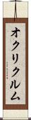 オクリクルム Scroll