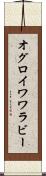 オグロイワワラビー Scroll