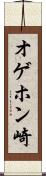 オゲホン崎 Scroll