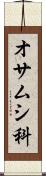 オサムシ科 Scroll