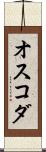 オスコダ Scroll
