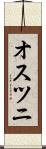 オスツニ Scroll