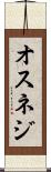 オスネジ Scroll