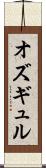 オズギュル Scroll