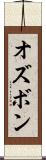 オズボン Scroll