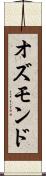 オズモンド Scroll