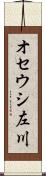 オセウシ左川 Scroll