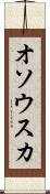オソウスカ Scroll