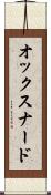 オックスナード Scroll