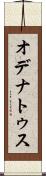 オデナトゥス Scroll