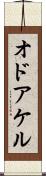 オドアケル Scroll