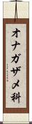 オナガザメ科 Scroll