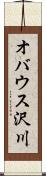 オバウス沢川 Scroll