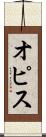 オピス Scroll