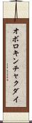 オボロキンチャクダイ Scroll