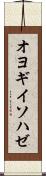 オヨギイソハゼ Scroll