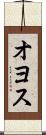 オヨス Scroll