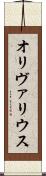 オリヴァリウス Scroll