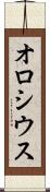 オロシウス Scroll