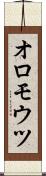 オロモウツ Scroll