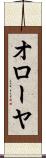 オローヤ Scroll