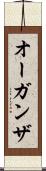 オーガンザ Scroll