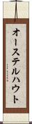 オーステルハウト Scroll