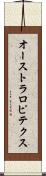 オーストラロピテクス Scroll