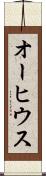 オーヒウス Scroll