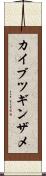カイブツギンザメ Scroll