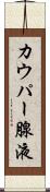 カウパー腺液 Scroll