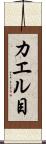 カエル目 Scroll
