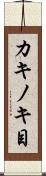 カキノキ目 Scroll