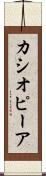 カシオピーア Scroll