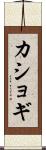 カショギ Scroll