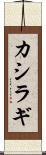 カシラギ Scroll