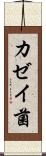 カゼイ菌 Scroll