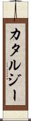 Katarzy Scroll