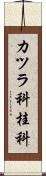 カツラ科 Scroll