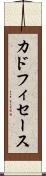 カドフィセース Scroll