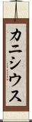 カニシウス Scroll
