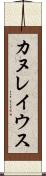 カヌレイウス Scroll